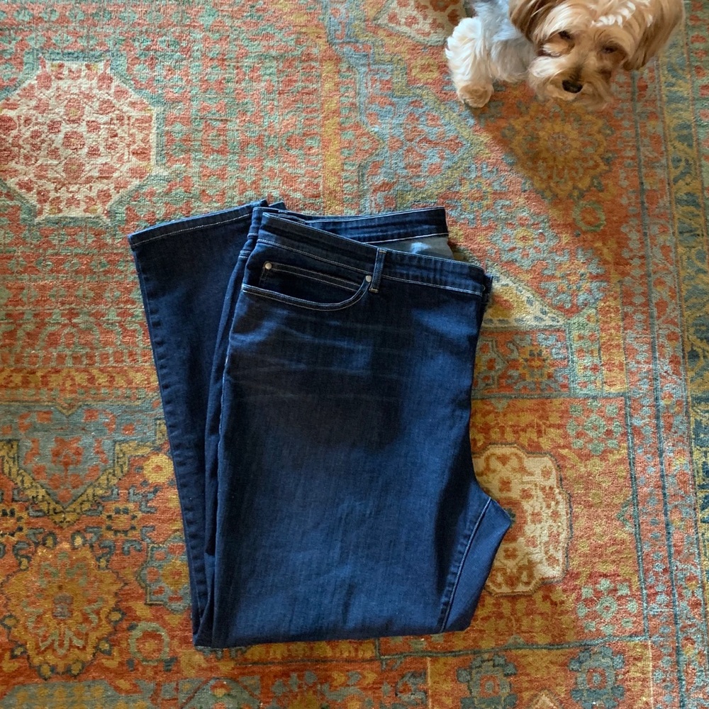 Eileen Fisher 24W Stretch Blue Jeans